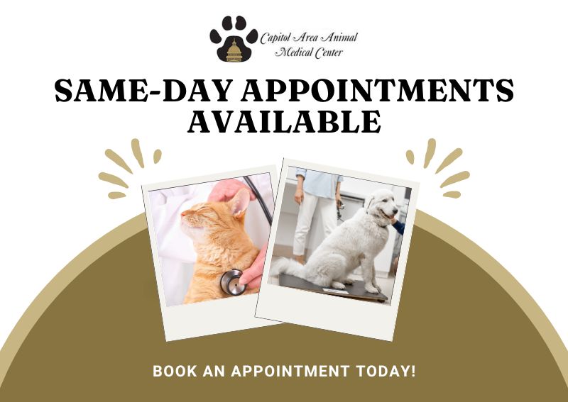 Carousel Slide 1: Book Today >